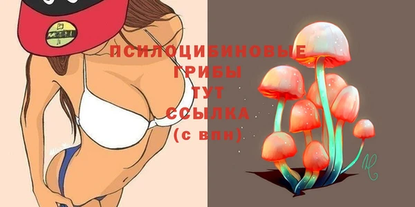 молекула духа Вязьма