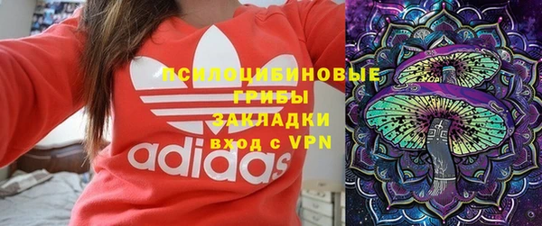 а пвп мука Вяземский