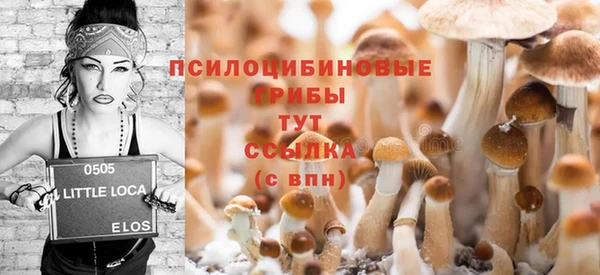 молекула духа Вязьма