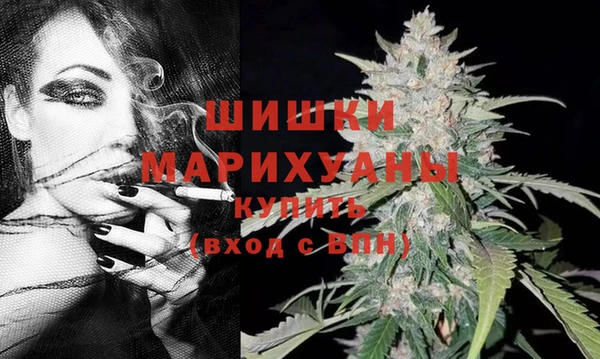 молекула духа Вязьма