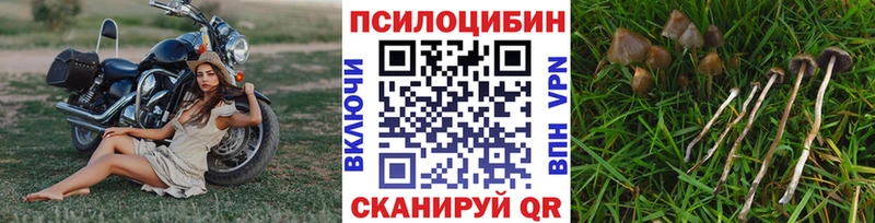 Галлюциногенные грибы прущие грибы  Купить закладки  Рассказово 