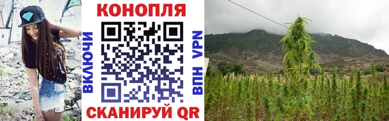 Бошки марихуана VHQ  Купить  Рассказово 